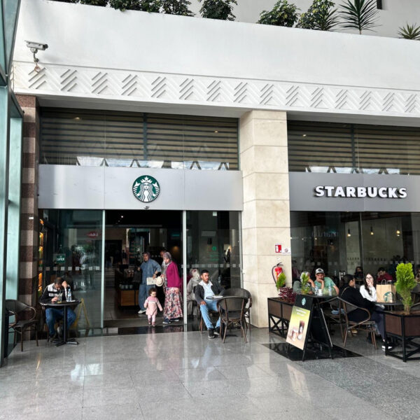 Perfection Foods introduce Muffins to Starbucks North Africa